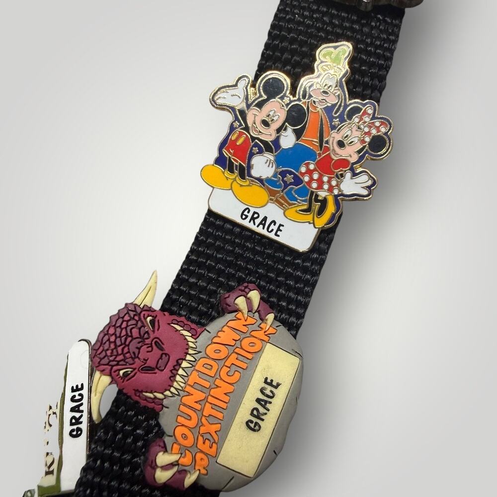 Vintage Disney 11 Pin Lot Lanyard Walt Disney World 2000 Animal Kingdom Mickey - Picture 2 of 9